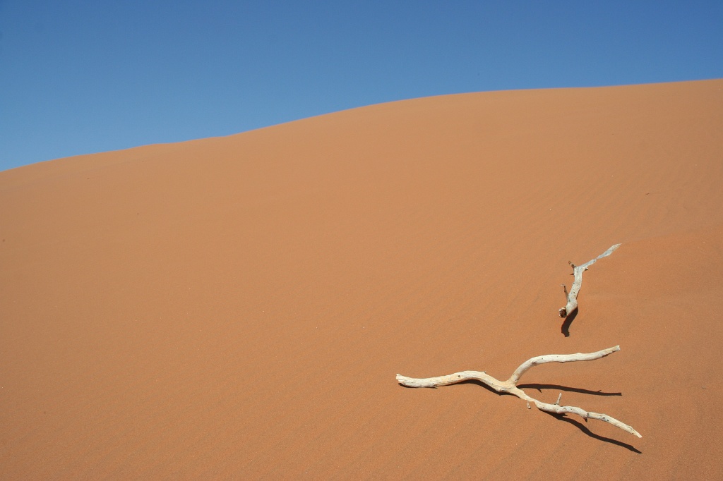 Namibia (49)